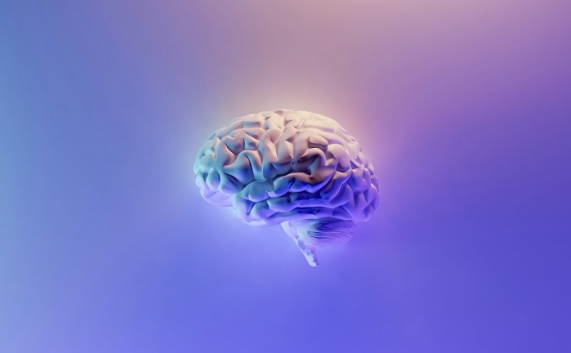 Image of a brain